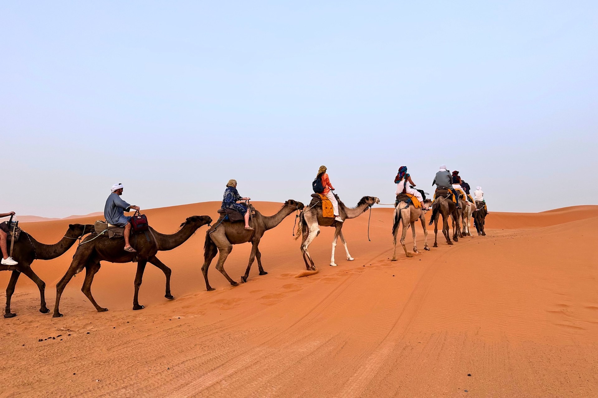dwo-golden-camp-merzouga-official-website